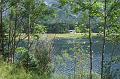 2011-08- (368)
